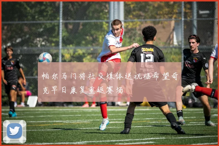 帕尔马门将社交媒体送祝福希望奇克早日康复重返赛场