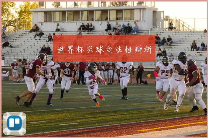 世界杯买球合法性辨析