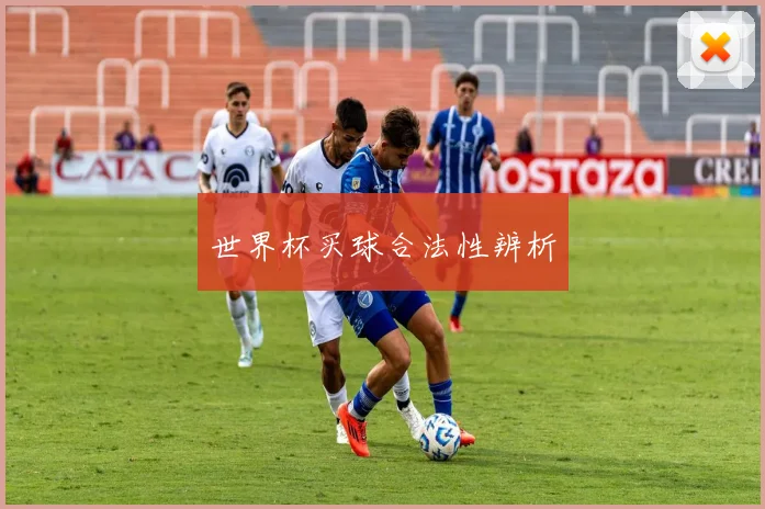世界杯买球合法性辨析