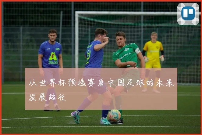 从世界杯预选赛看中国足球的未来发展路径