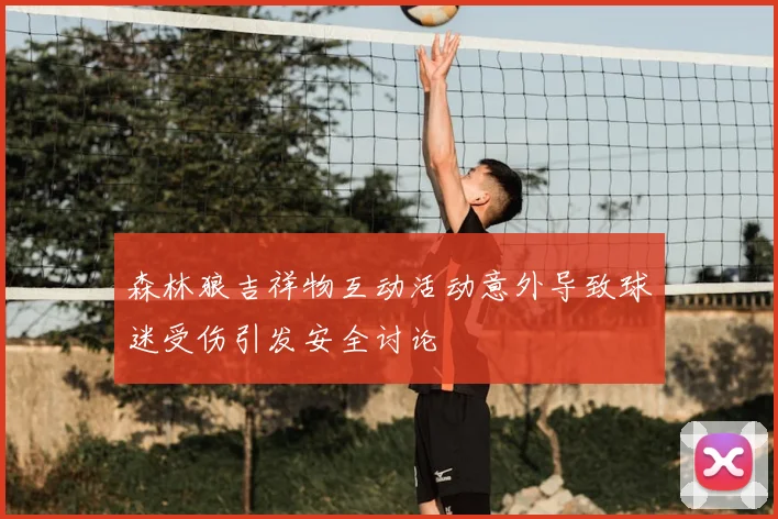 森林狼吉祥物互动活动意外导致球迷受伤引发安全讨论