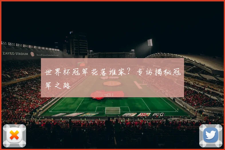 世界杯冠军花落谁家？专访揭秘冠军之路