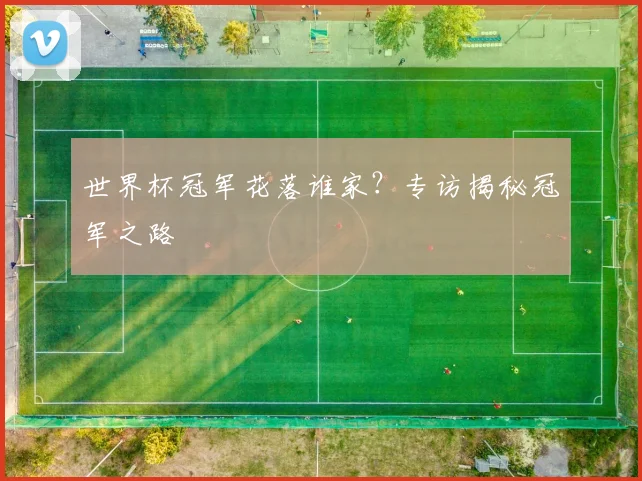 世界杯冠军花落谁家？专访揭秘冠军之路